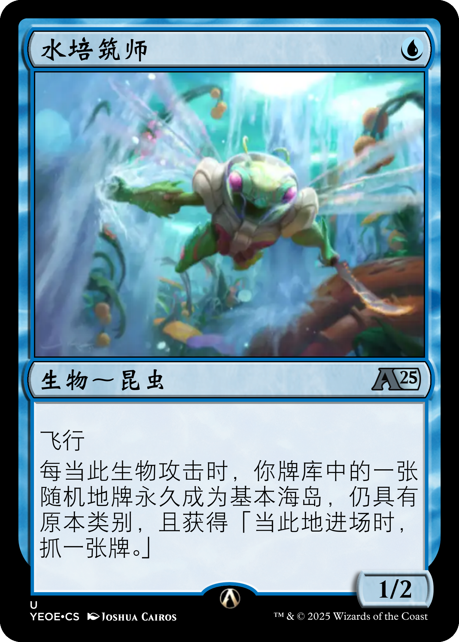 水培筑师